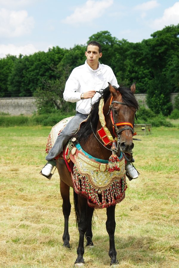 Le Moussem des Cultures 2008 094.jpg